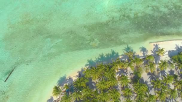 热带岛屿 白色海滩 棕榈树和无尽的绿松石水与珊瑚礁从上面看到 环礁岛附近的岛屿旅游度假概念在奥诺克岛巴拉巴巴拉旺菲律宾 — 图库视频影像