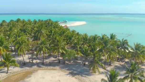 在菲律宾巴拉巴克巴拉旺的奥诺克岛上 空中俯瞰的棕榈树沿着白沙滩海岸排成一排 碧绿的海水源源不断 热带岛屿 有棕榈树林和白沙 — 图库视频影像