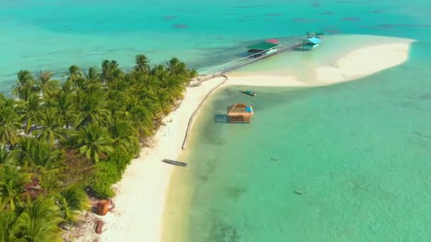 パラダイスで無限のターコイズブルーの海と白い砂を持つ熱帯海岸の空中風景バラバックのヤシの木の多くに囲まれたオノク島 パラワン フィリピンの熱帯休暇のコンセプト — ストック動画