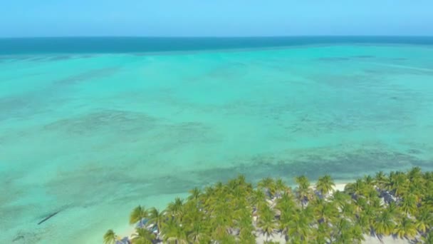 Tropical Island White Beach Palm Trees Endless Turquoise Water Coral — Stock Video