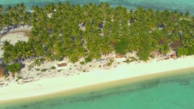Balabac Palawan Filipinleri 'ndeki Aonok Adası' nda palmiye ağaçlarının 4k gökyüzü manzarası beyaz kumsal kıyısı boyunca dizilmiş ve bitmeyen turkuaz su. Palmiye ağaçları ve beyaz kumları olan tropik bir ada.