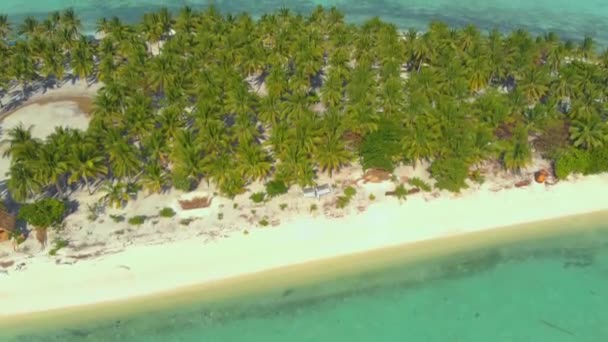 Luftaufnahme Von Palmen Reihen Sich Entlang Der Weißen Sandküste Und — Stockvideo