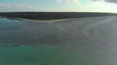 Filipinler 'in Balabac kentindeki Candaraman Adası' nda gün batımında palmiye ağaçlarının 4k hava manzarası. Tropikal adada gün batımı bir sürü palmiye ağacı ile çevrilidir..