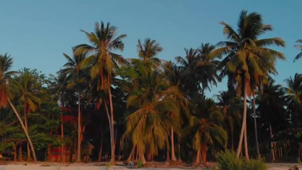 Воздушный Пейзаж Пальмовых Джунглей Закате Тропическом Раю Кандараманский Остров Балабаце — стоковое видео
