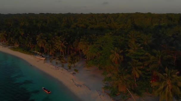 Aerial Landscape Palm Tree Jungle Sunset Tropical Paradise Candaraman Island — ストック動画