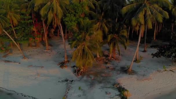 Paisagem Aérea Selva Palmeira Pôr Sol Paraíso Tropical Candaraman Ilha — Vídeo de Stock