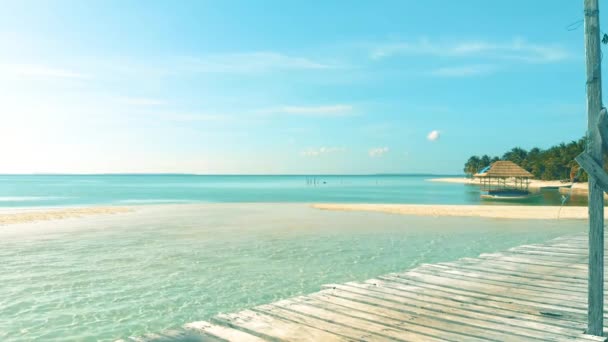 Aerial Landscape Tropical Coast Lots Palm Trees Endless Turquoise Ocean — 图库视频影像