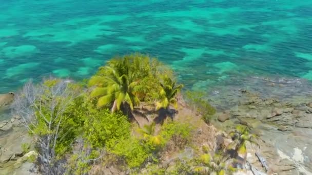 Ilha Palmeiras Com Praia Areia Branca Cercada Por Água Azul — Vídeo de Stock