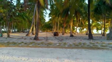 Balabac, Palawan, Filipinler 'deki Patonggong adasının kıyısında kumlu, turkuaz suyu ve mercan resifleri olan palmiye ağacı cenneti.