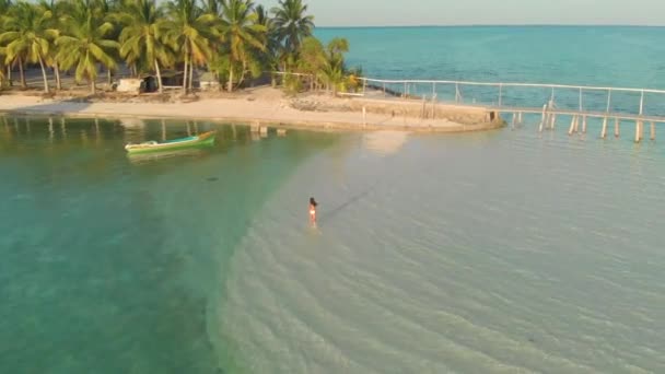 菲律宾巴拉巴克岛奥诺克岛 一名妇女一个人走到一个孤立的白色沙洲上 带着木制拱门的码头的4K航拍照片 — 图库视频影像