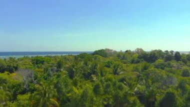 Beyaz kumlu sahil ve mercan kayalıkları olan küçük bir adanın en üst manzarası. Filipinler 'in Balabac kentindeki Pembe Ada' da gökyüzü suyu ve mercan resifleriyle çevrili 4k Hava Deniz Burnu Tropikal Adası