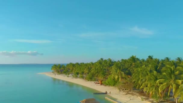 Palmenparadies Mit Weißem Sandstrand Türkisfarbenem Wasser Und Korallenriffen Der Küste — Stockvideo