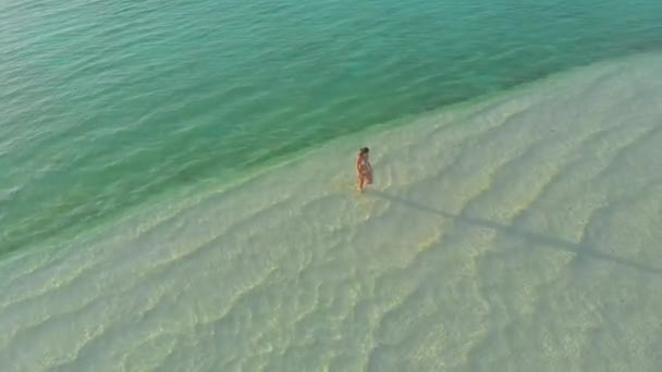 Filipinler Balabac Kentindeki Onok Adası Ndaki Izole Beyaz Kumsalda Yalnız — Stok video