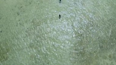 Candaraman Sandbar 'daki beyaz kumsalda dinlenen sevimli bir çiftin 4K hava manzarası. Aşk tropik adada gün batımında Balabac, Palawan, Filipinler 'de