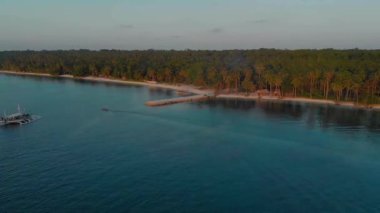 Filipinler 'in Balabac kentindeki Candaraman Adası' nda gün batımında palmiye ağaçlarının 4k hava manzarası. Tropikal adada gün batımı bir sürü palmiye ağacı ile çevrilidir..