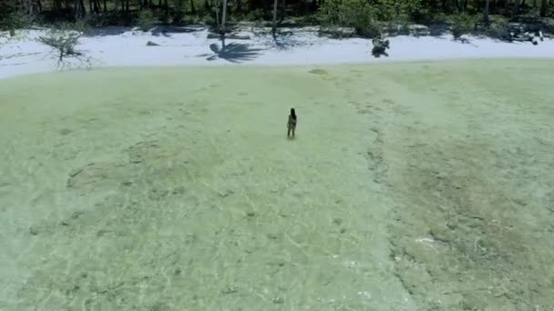 Drone Stijgt Vrouw Het Midden Van Wit Zandstrand Turquoise Water — Stockvideo