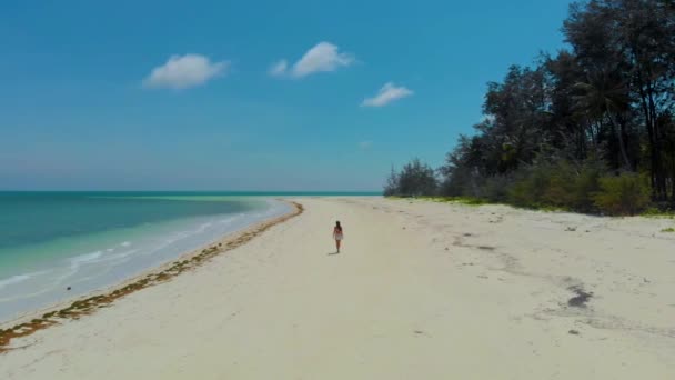 Vista Aérea Mulher Sozinha Praia Areia Branca Punta Sebaring Bugsuk — Vídeo de Stock