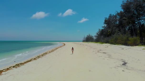 Luftaufnahme Einer Frau Allein Weißen Sandstrand Von Punta Sebaring Auf — Stockvideo