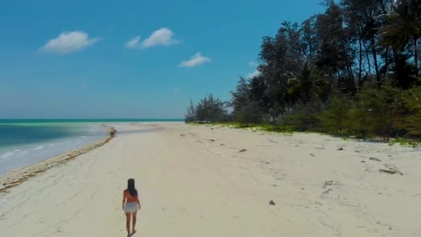 Luchtfoto Van Vrouw Alleen Het Witte Zandstrand Van Punta Sebaring — Stockvideo