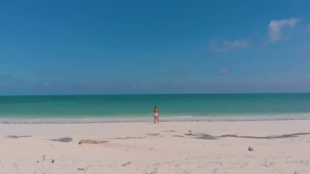 Flygfoto Kvinna Ensam Den Vita Sandstranden Vid Punta Sebaring Bugsuk — Stockvideo