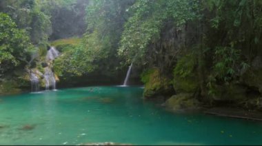 Cebu 'daki Kawasan Şelalesi' nin yeşil suyu. Filipinler, Cebu tropikal ormanında bir dağ geçidinde akan şelale.