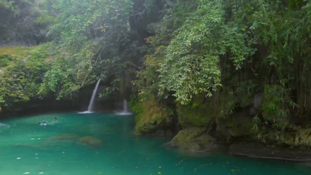 Τροπικός Καταρράκτης Kawasan Falls Περιβάλλεται Από Πράσινο Φύση Στο Νησί — Αρχείο Βίντεο