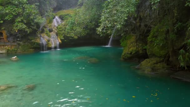 Trópusi Vízesés Kawasan Falls Körül Zöld Természet Cebu Sziget Fülöp — Stock videók