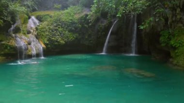 Cebu 'daki Kawasan Şelalesi' nin yeşil suyu. Filipinler, Cebu tropikal ormanında bir dağ geçidinde akan şelale.