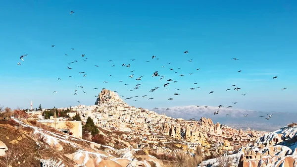 Tauben Fliegen Pigeon Valley Kappadokien Vögel Fliegen Zusammen Mit Schneebedeckter — Stockfoto