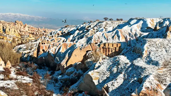 Tauben Fliegen Pigeon Valley Kappadokien Vögel Fliegen Zusammen Mit Schneebedeckter — Stockfoto