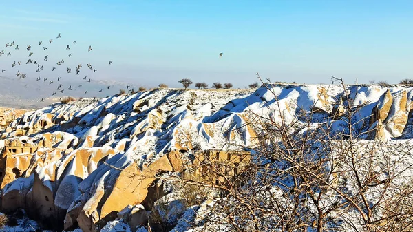 Gołębie Latają Dolinie Gołębi Kapadocji Ptaki Latające Razem Śnieżnym Krajobrazem — Zdjęcie stockowe