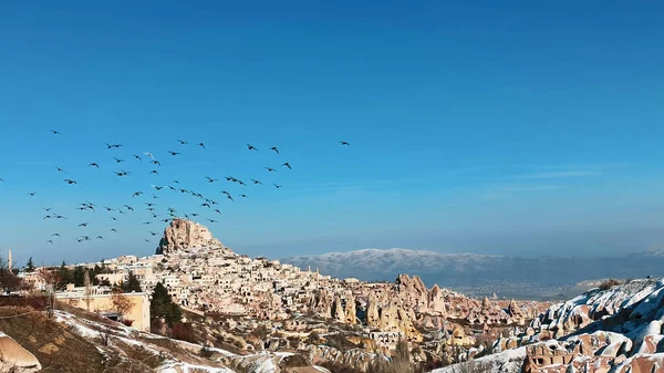 Pigeons Flying Pigeon Valley Cappadocia Birds Flying Together Snowy Volcanic — Stock Photo, Image