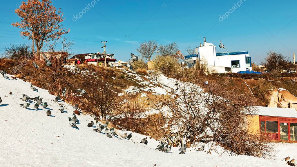 Pigeons are flying at Pigeon Valley in Cappadocia. Birds flying together with snowy volcanic landscape in Cappadocia, Turkey