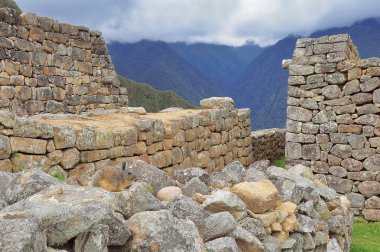 Machu Picchu Harabeleri üzerinde tavşan.