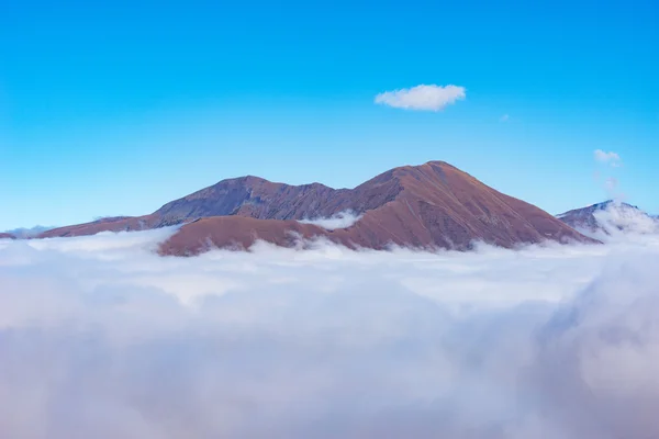 Вершина горы над облаками. — стоковое фото