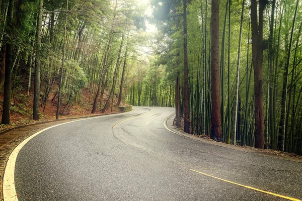 View of the road. — Stock Photo, Image