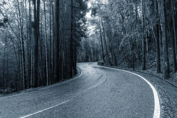 Uitzicht op de weg. — Stockfoto