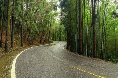 Yol manzarası.