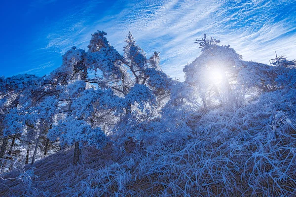 Winterlandschaft im Huangshan Nationalpark. — Stockfoto