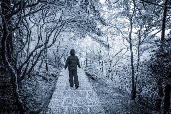 Giovane donna sulla piccola strada nel parco nazionale di Huangshan . — Foto Stock