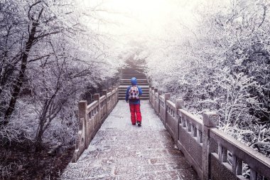 Küçük yol Huangshan Milli Parkı'nda genç kadın.
