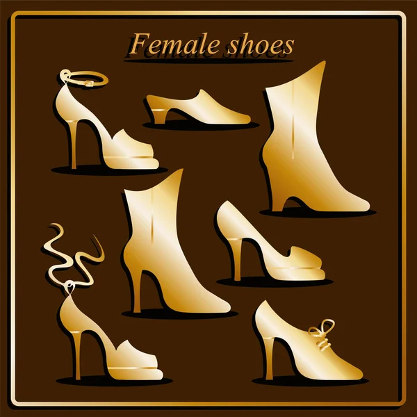 Different types of women shoes on brown background. — Stock Vector