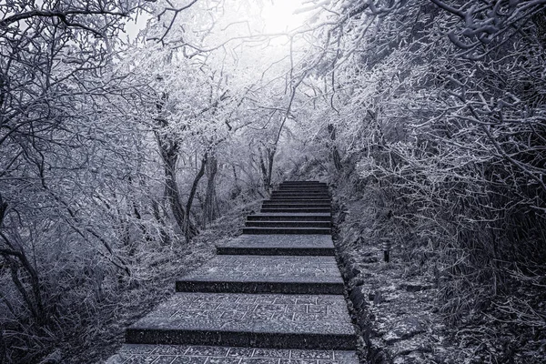 Vue sur les escaliers d'hiver dans le parc national Huangshan . — Photo