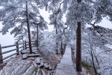 Kış merdiven görünümü Huangshan Milli Parkı'nda.