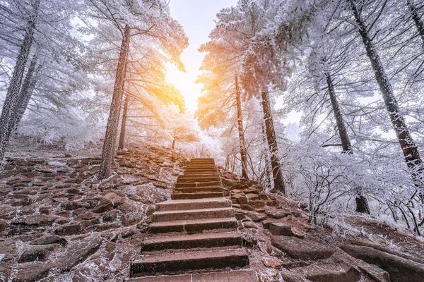 겨울 계단 보기 황산 국립 공원에서. — 스톡 사진