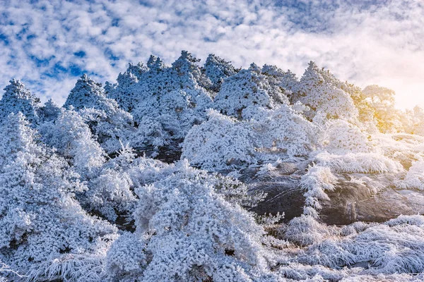 Zonsopgang boven het bevroren bos in Huangshan nationaal park. — Stockfoto