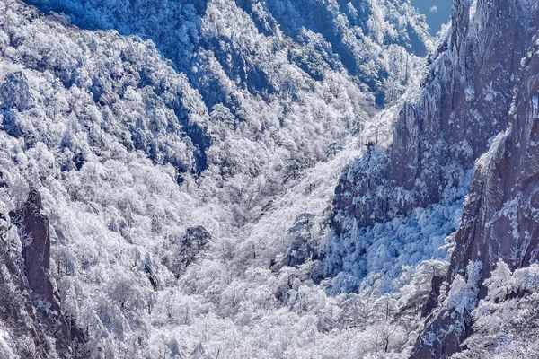 Nascer do sol acima da floresta congelada no parque nacional de Huangshan . — Fotografia de Stock