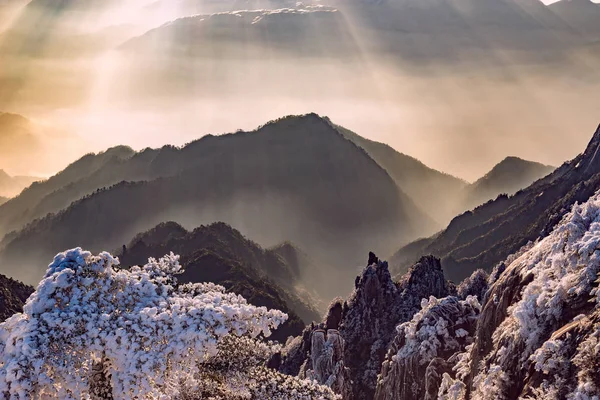 Salida del sol sobre los picos del Parque Nacional Huangshan . — Foto de Stock
