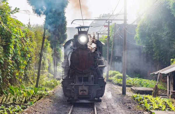 Comboio de bitola estreita a vapor . — Fotografia de Stock