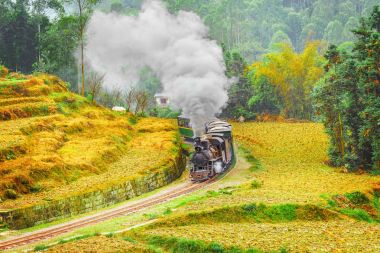 Buhar dar hat tren.